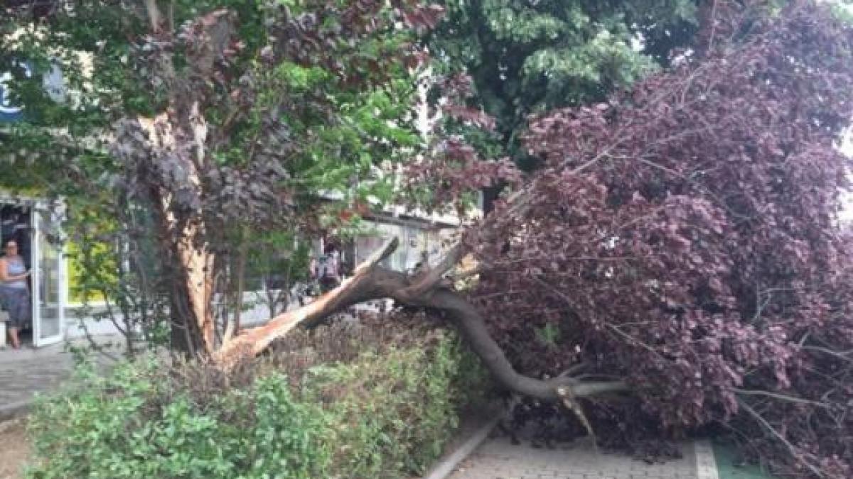 COD GALBEN de furtună, ACUM, în mai multe regiuni!