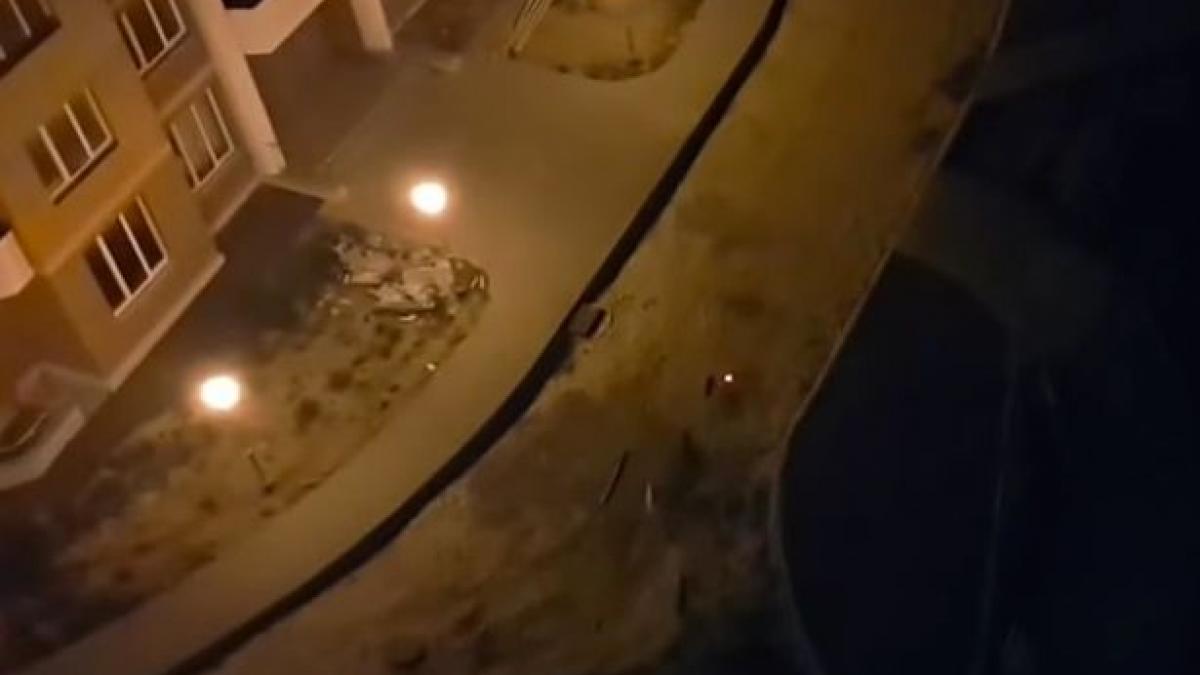 video cum poti scapa de cainii comunitari ii obosesti