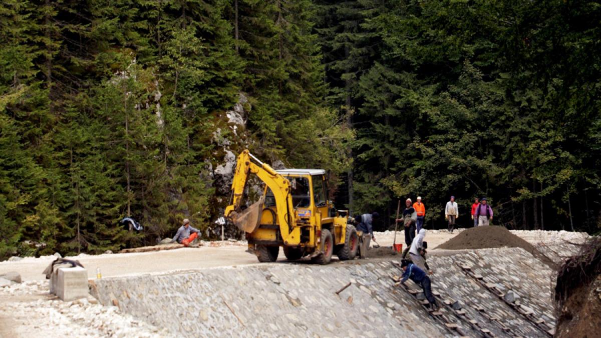 Sute de metri cubi de gorun şi stejar au fost confiscaţi de la o firmă de prelucrare a lemnului din judeţul Neamţ