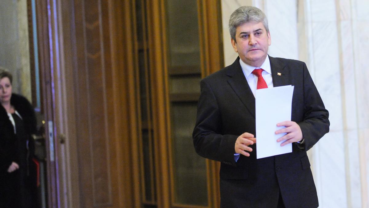 Gabriel Oprea şi-a delegat atribuţiile de ministru