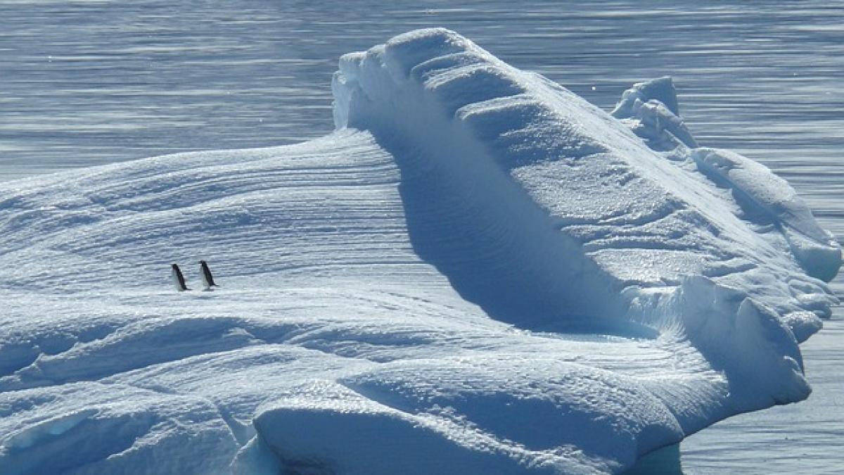 Temperatura medie globală a crescut cu 0,85 grade, iar oceanul planetar cu 20 cm, în ultimii 100 de ani 