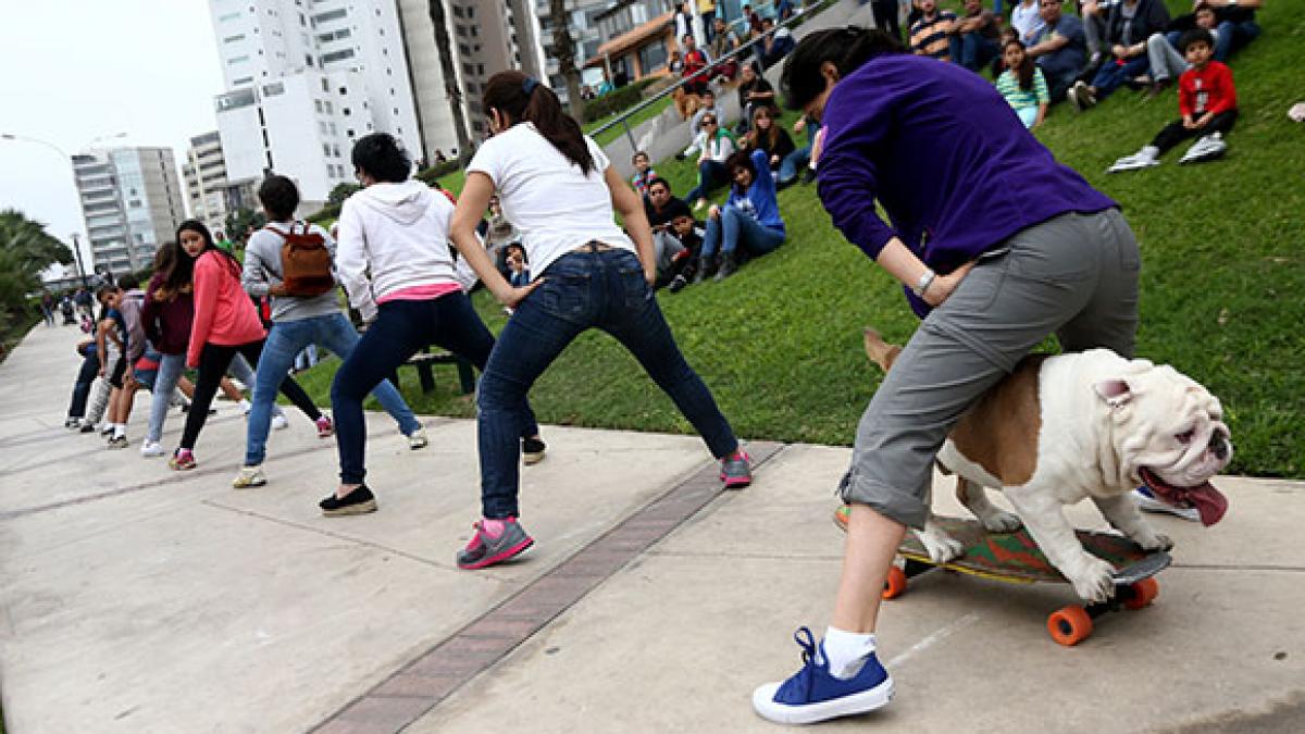 video bulldogul otto intra in guiness book dupa ce a mers pe skateboard pe sub picioarele a 30 de oameni