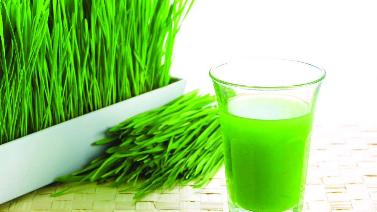 Cum se consumă sucul de iarbă de grâu, vedeta curelor de detoxifiere