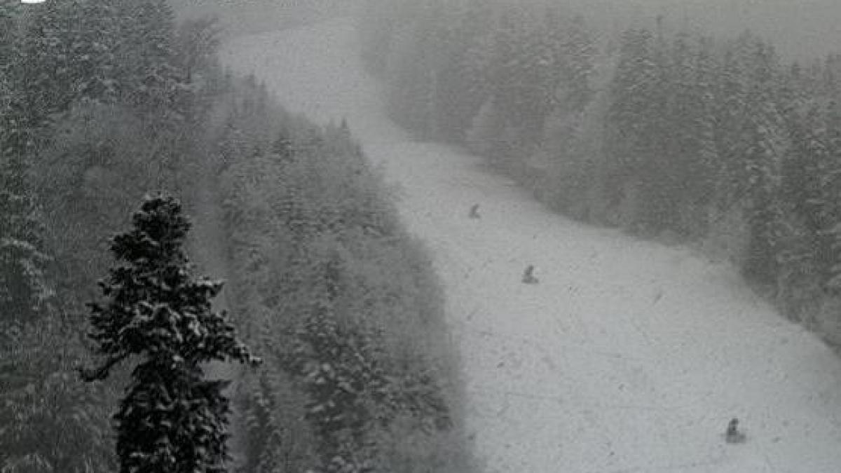 Vezi unde NINGE, acum, in Romania! IMAGINI LIVE