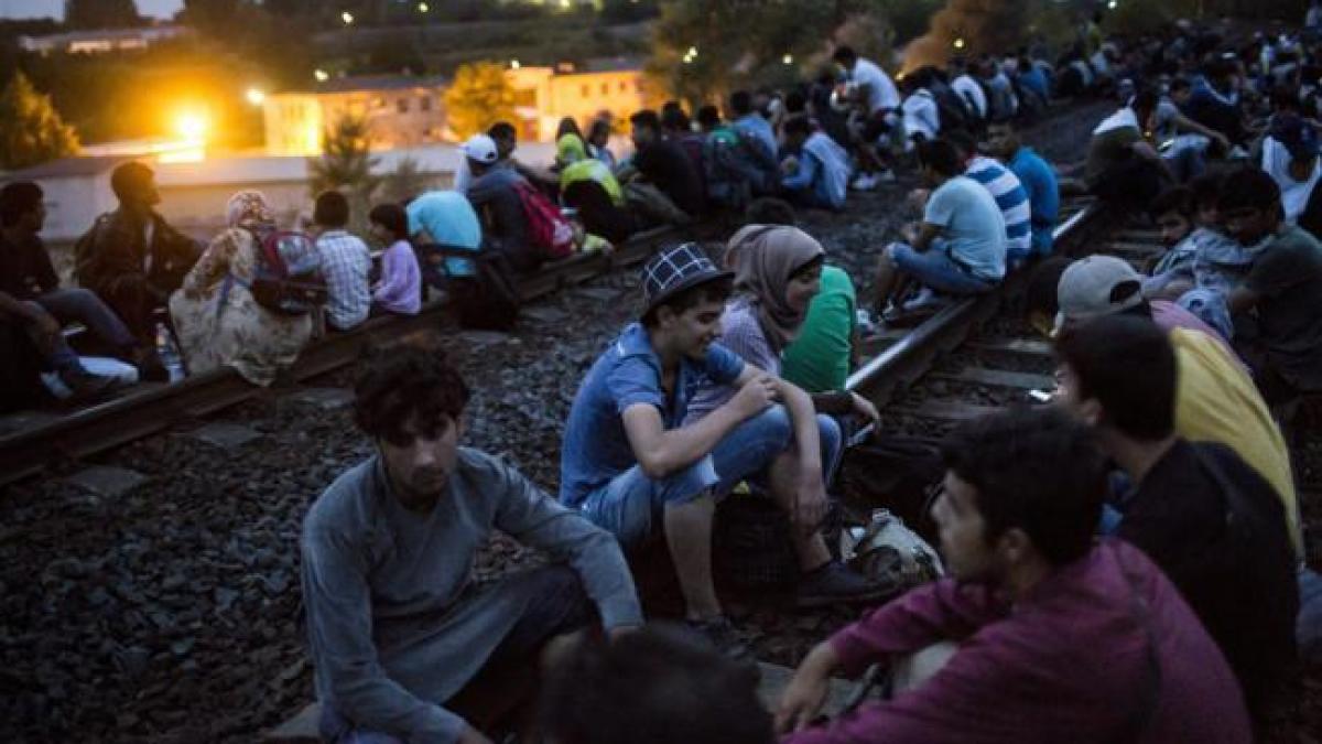 Peste un milion de refugiați, anul acesta, în Germania