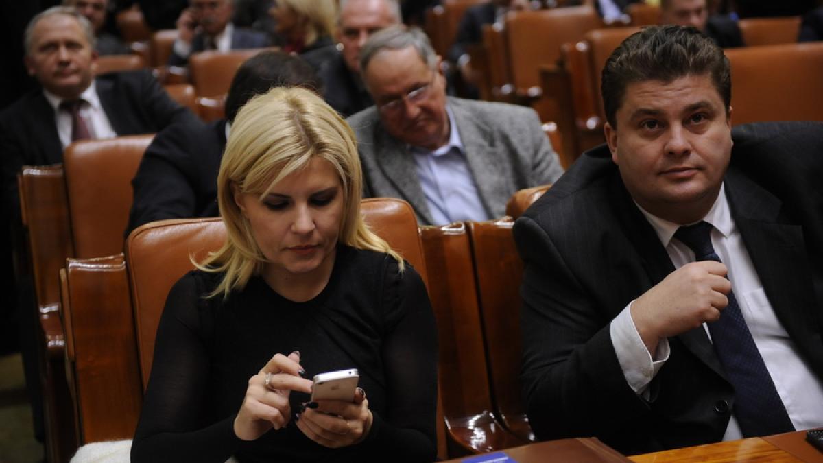 Udrea spune că este şi ea vinovată de adoptarea codurilor penale cu greşeli