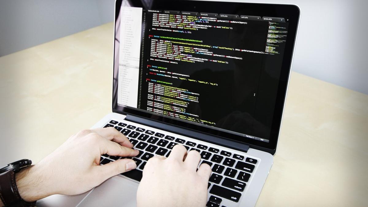 Software-ul, online-ul şi mobile-ul, industriile digitale care angajează cel mai mult în România 