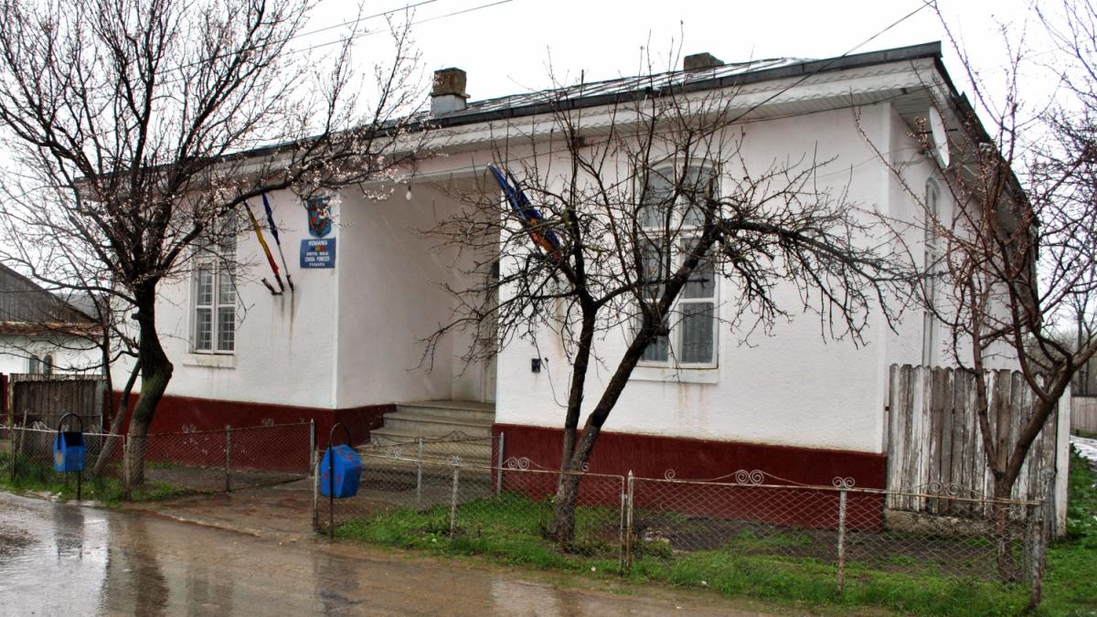 Referendum la Pungesti pentru demiterea primarului