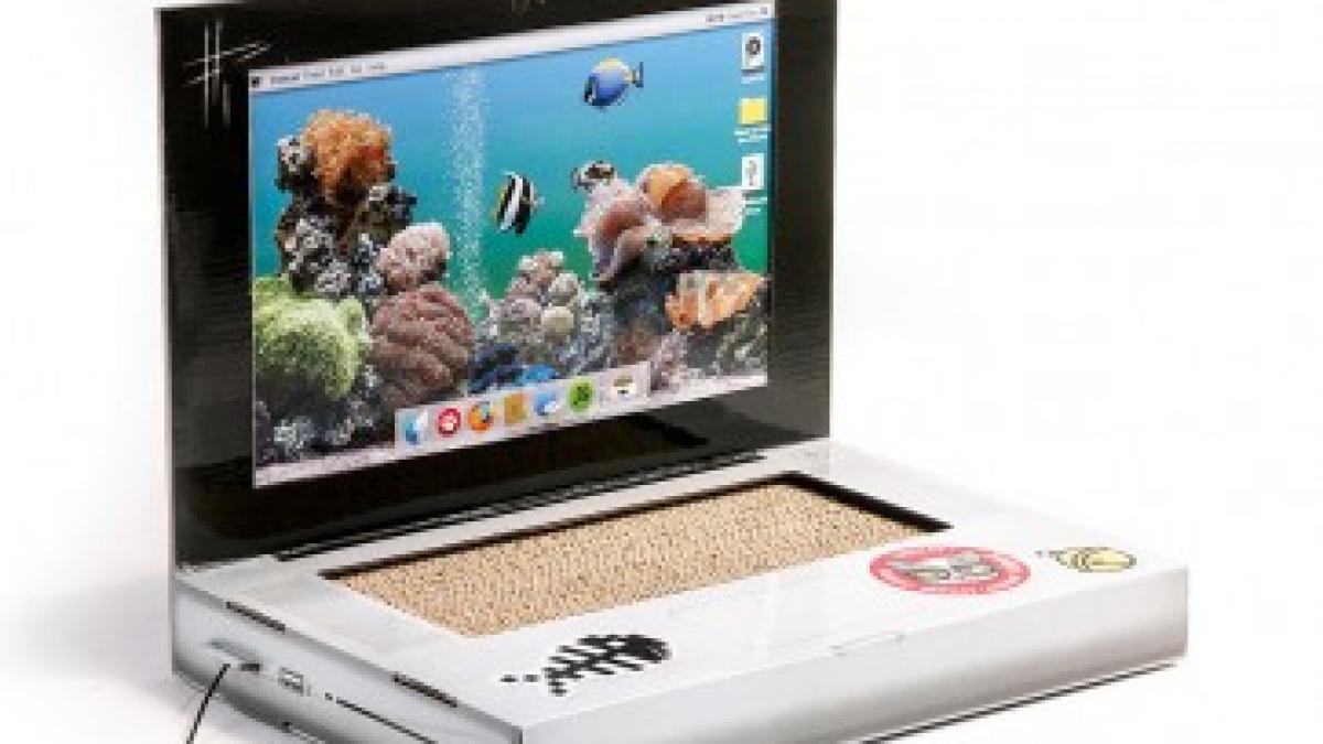 A apărut laptopul pentru pisici 