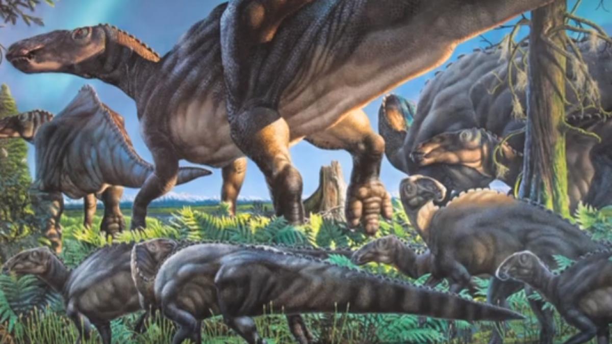 istorie si arheologie 5 descoperiri surprinzatoare ale anului 2015