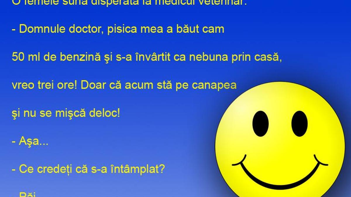 BANCUL ZILEI: Pisi... eşti turbo?!