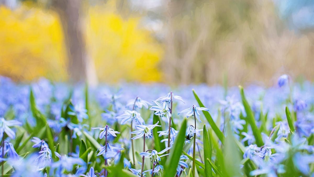 METEO. Cum va fi VREMEA in februarie, martie si aprilie