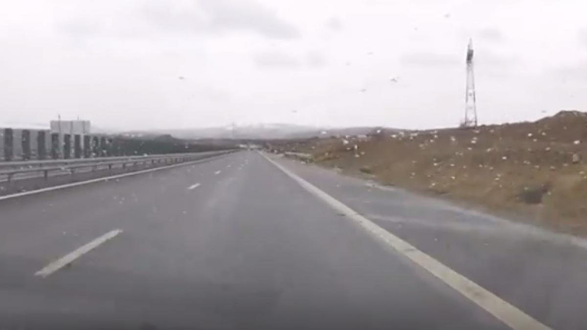 adevarul despre noile fisuri aparute la autostrada orastie sibiu