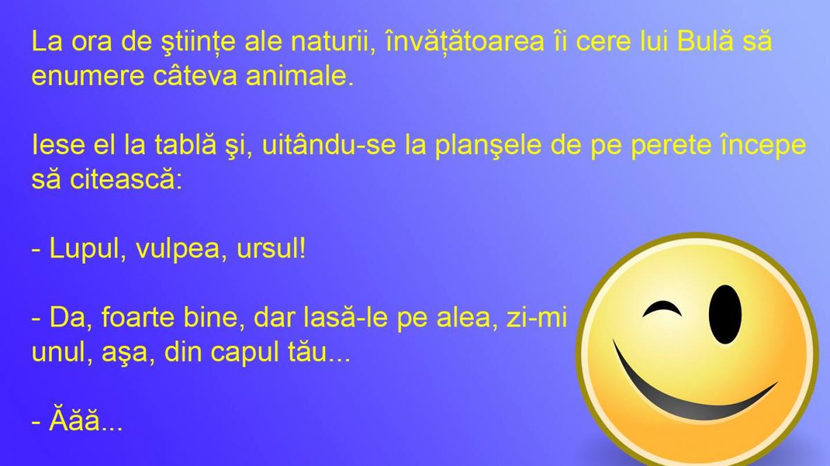 BANCUL ZILEI: Grădina ZOO din capul lui Bulă
