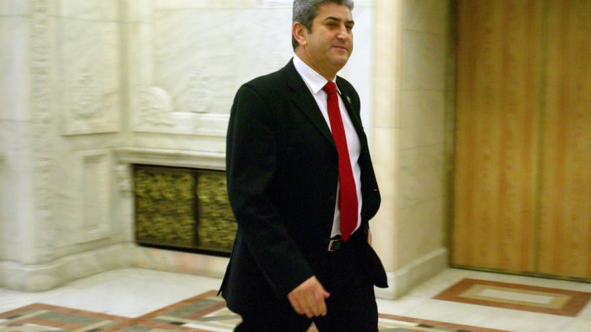 Senatorii Doina Tudor şi Gabriel Oprea, la Comisia juridică pentru a-şi consulta dosarul 