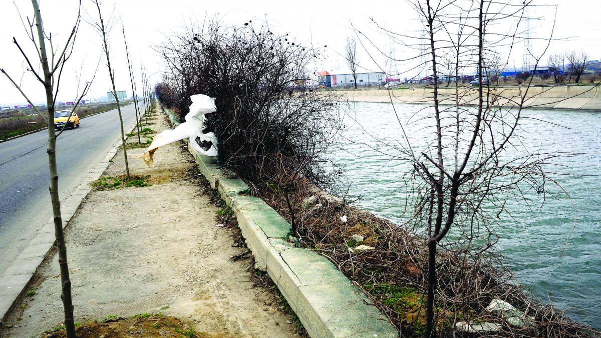 Primăriile omoară oameni, prin indiferență
