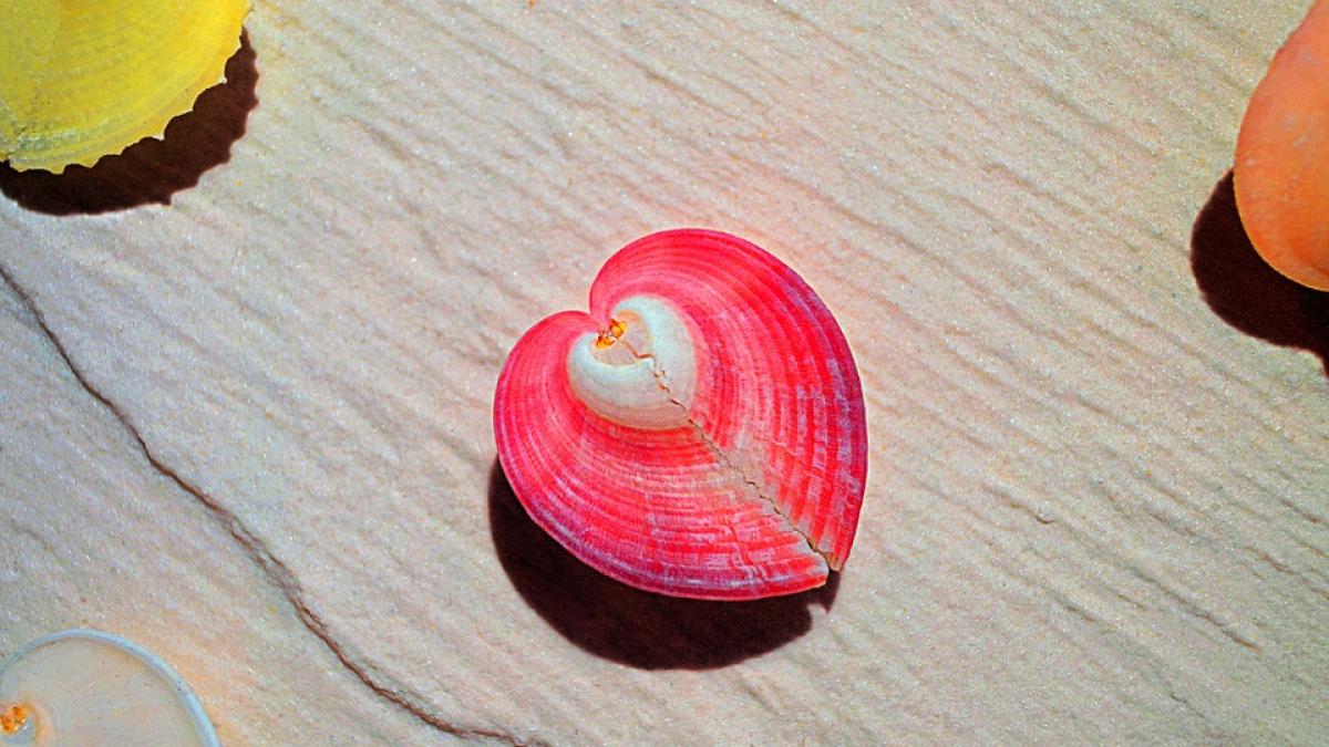 Şi bucuria poate poate provocat boli cardiace 
