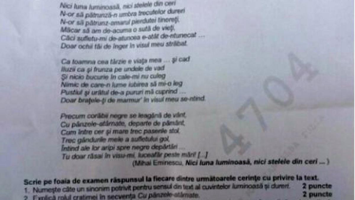 Subiectele de la simularea examenului de Bac pentru clasele a XI-a şi a XII-a