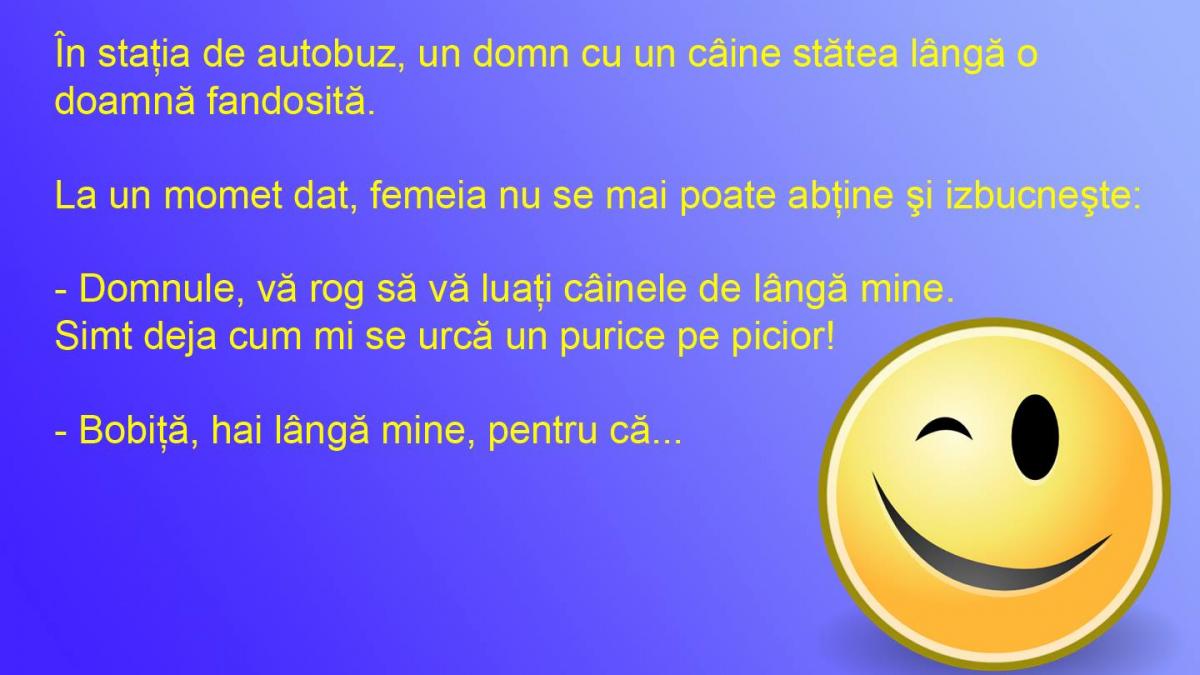BANCUL ZILEI: Doamna şi puricele, stăpânul şi câinele