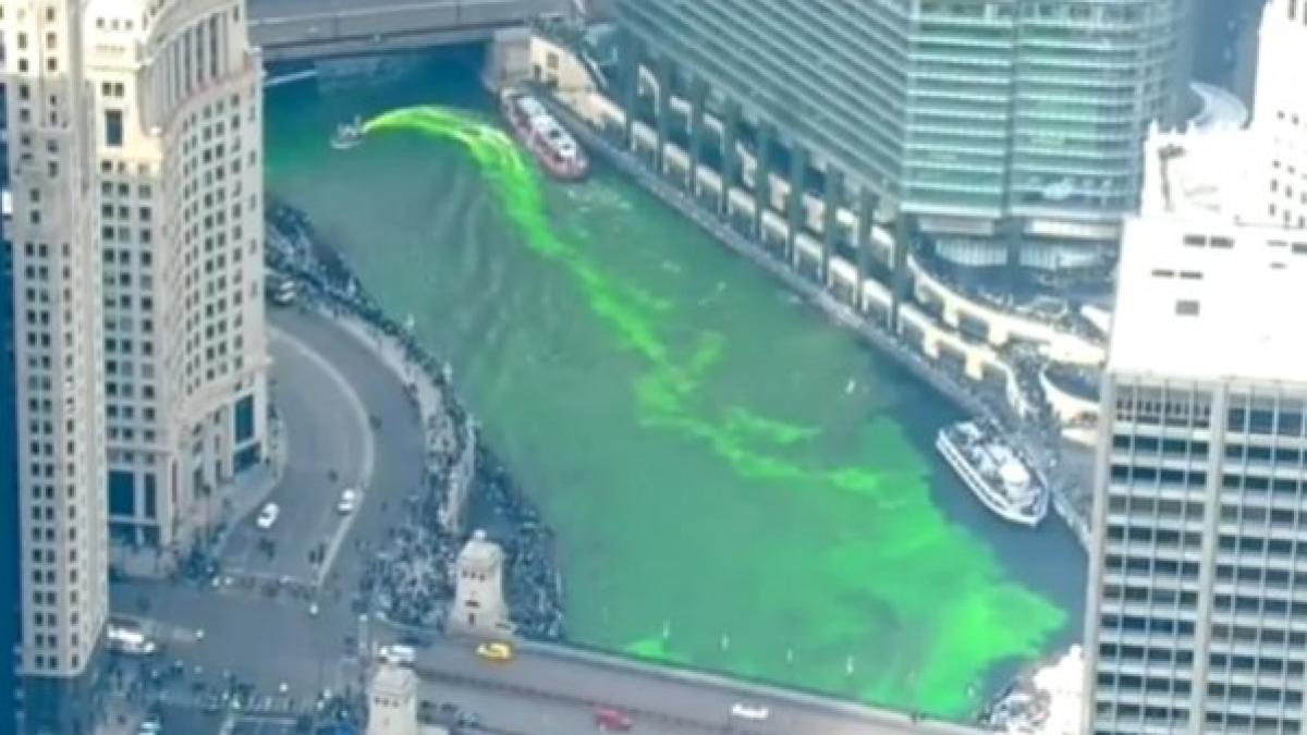 raul chicago colorat in verde pentru sarbatoarea de sfantul patrick