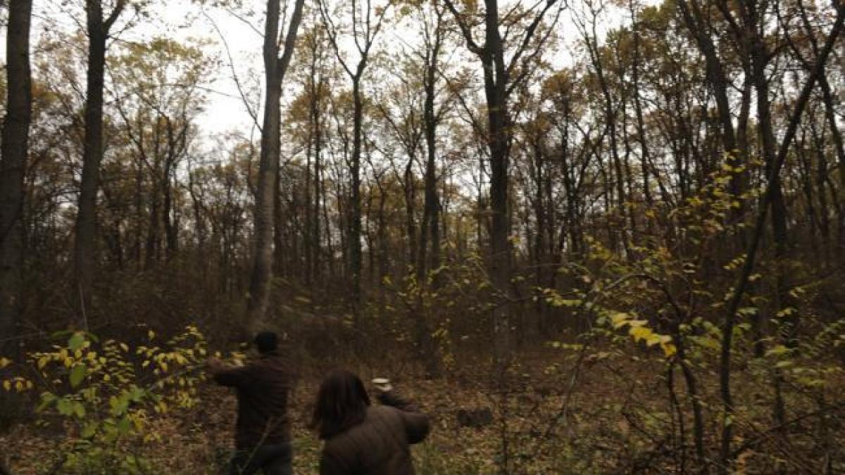 Alertă într-o comună din judeţul Vaslui! Doi copii au dispărut de acasă