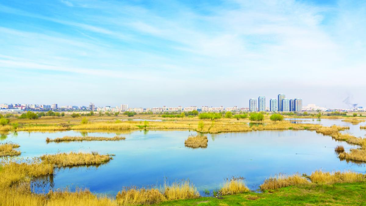 Un nou tun imobiliar: cum să transformi 3.200 mp teren în 32.000 mp