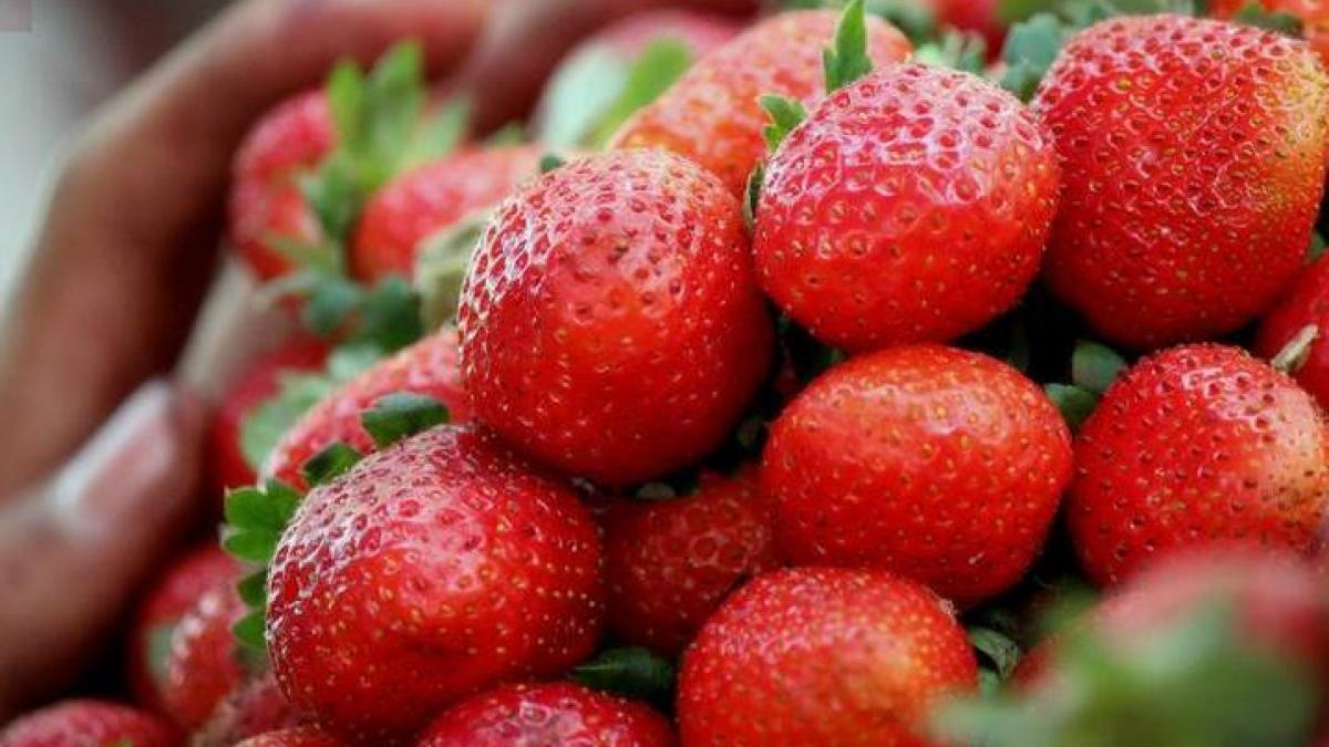6 fructe și legume care nu trebuie să ne lipsească din dietă primăvara
