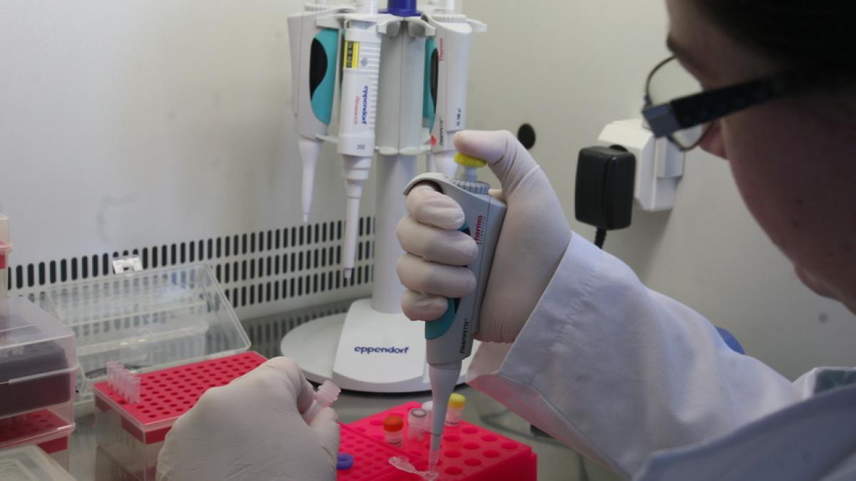 INFECTAREA CU VIRUSUL ZIKA se poate DIAGNOSTICA cel mai eficient prin analiza urinei