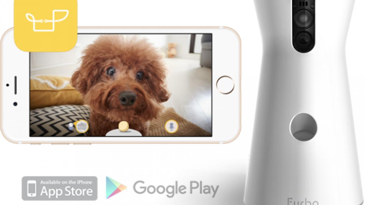 Furbo, gadget-ul care le ține companie cățeilor