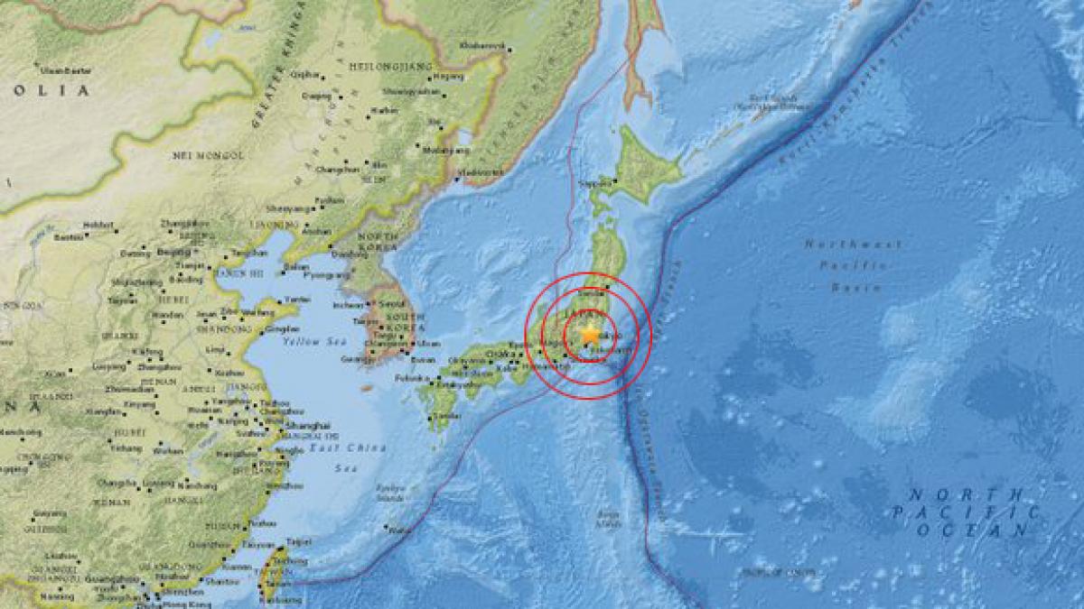 Reactorul unei centrale nucleare din Japonia a fost închis după un cutremur de 5,6 grade