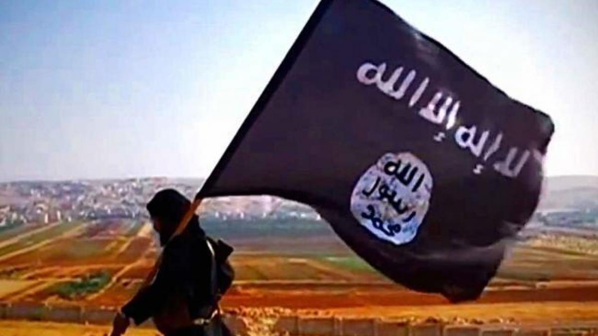 Premierul irakian anunţă "eliberarea" oraşului Fallujah de sub Statul Islamic 