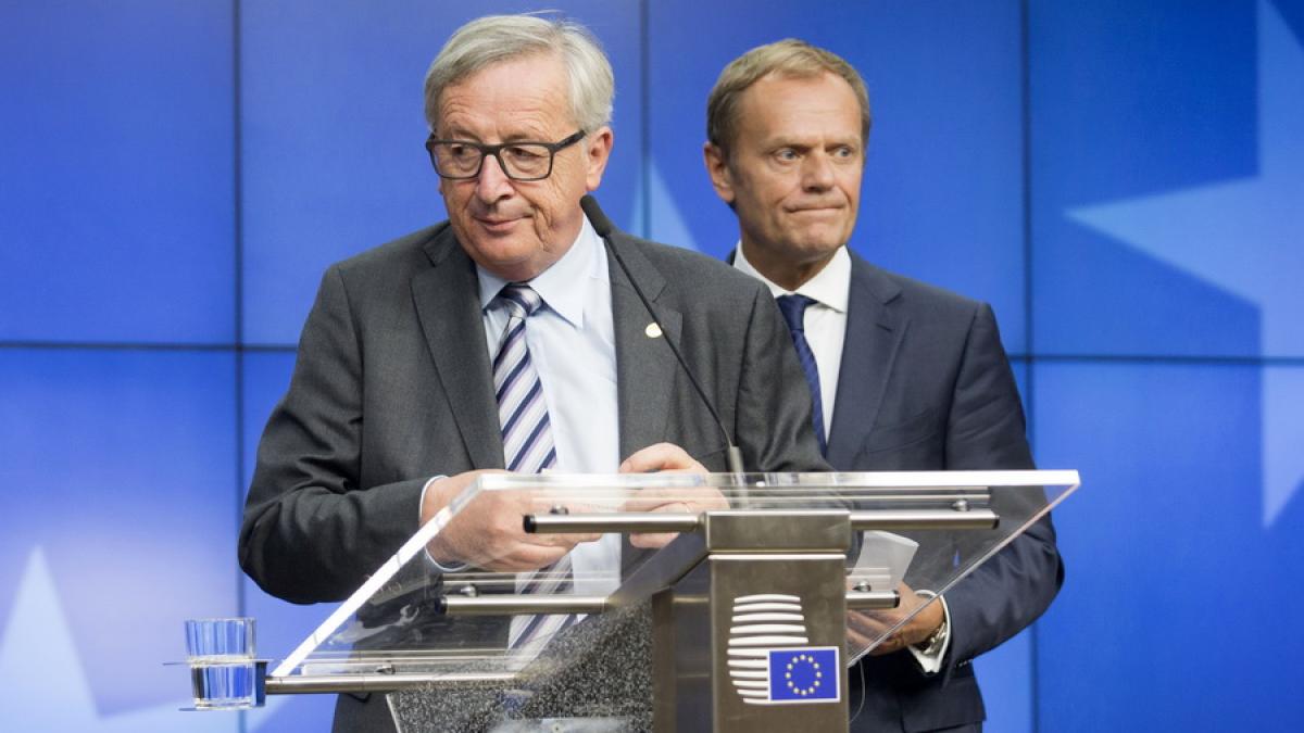 Acces la piaţa UE doar prin libera circulaţie