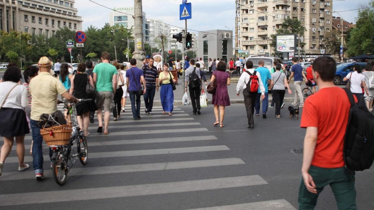 Exporturile României cresc, dar rămân firave