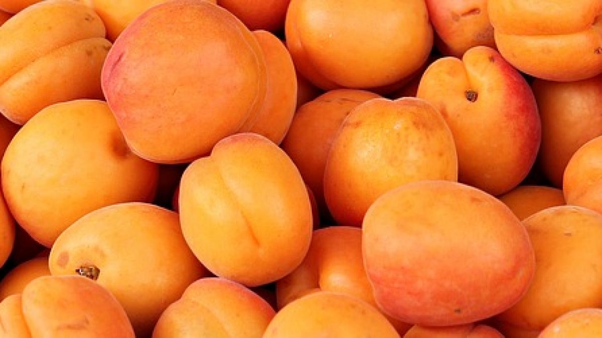 Dieta revigorantă cu caise
