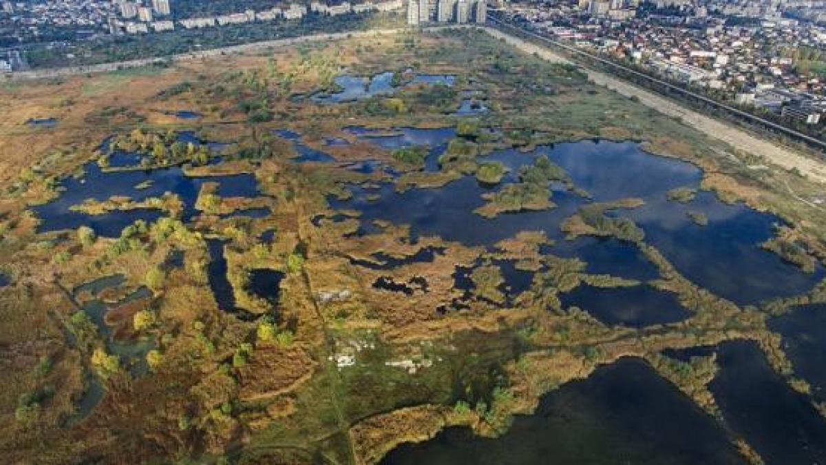 Incendiu în Delta Văcăreşti 