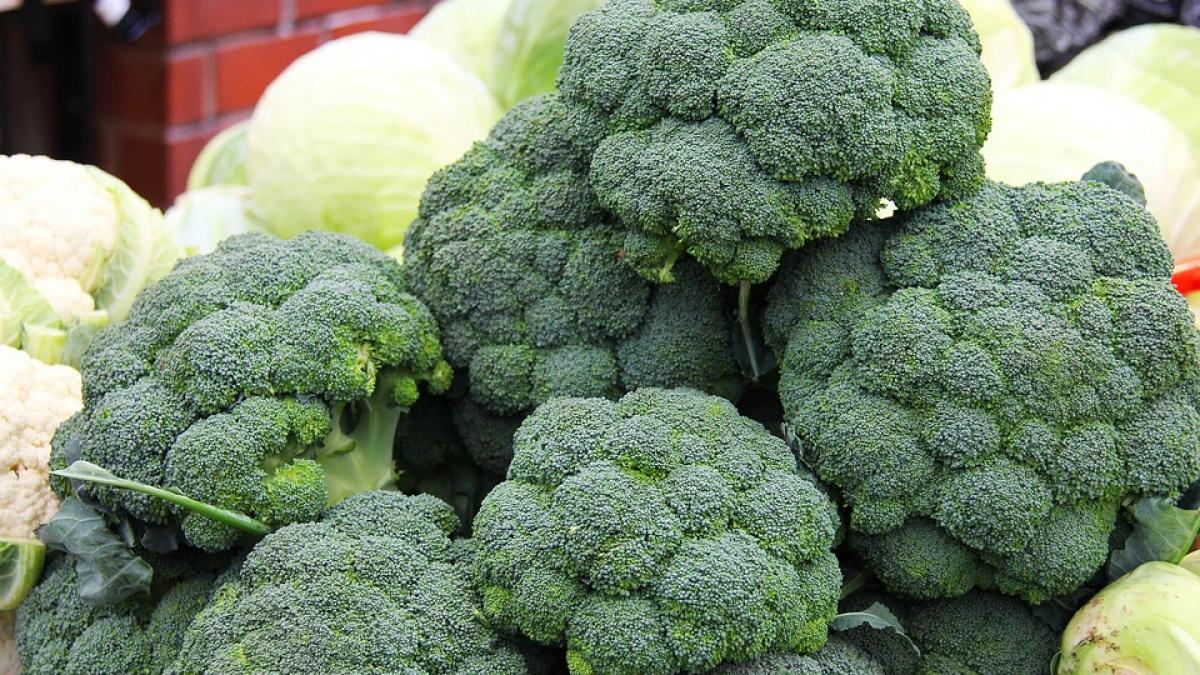 Rețeta perfectă de budincă de paste cu broccoli