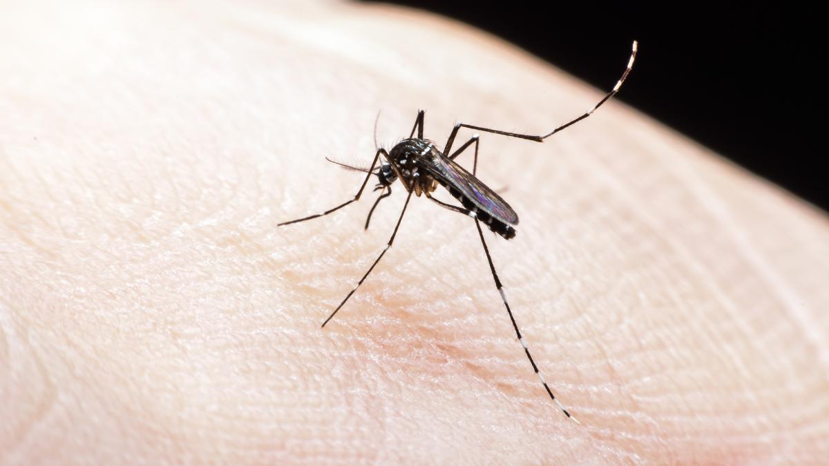 Copil român infectat cu virusul Zika