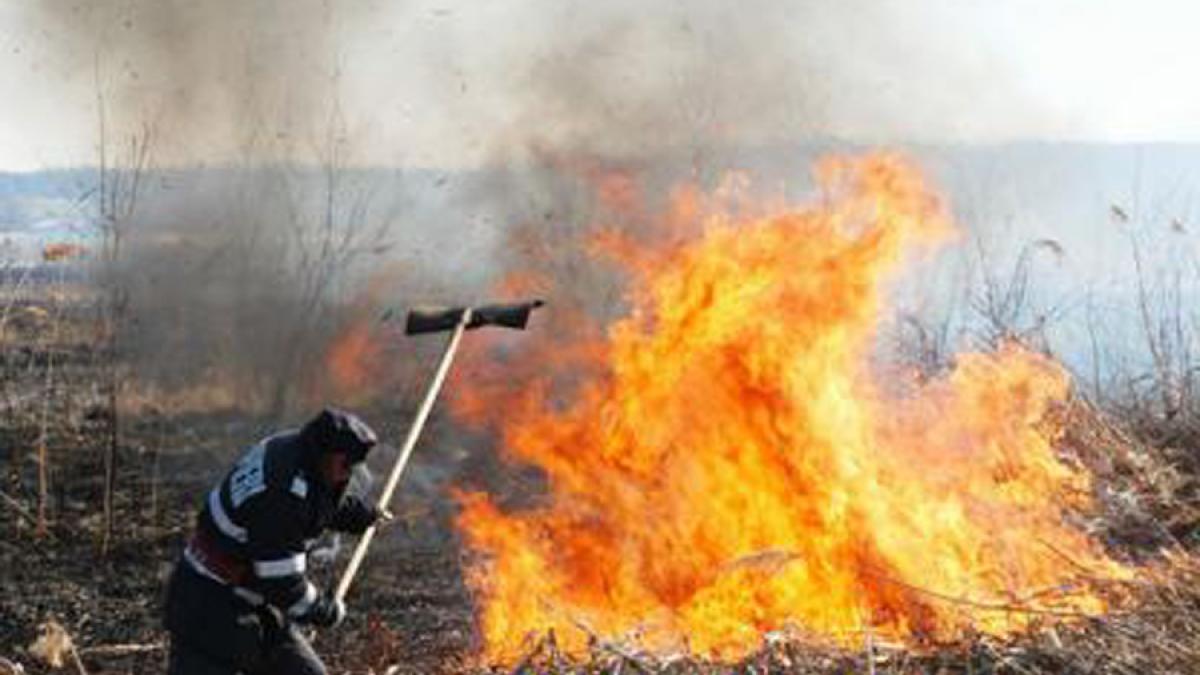 ALERTĂ în BUZĂU: Peste 125 de hectare de vegetaţie uscată INCENDIATE în ultimele 24 de ore 