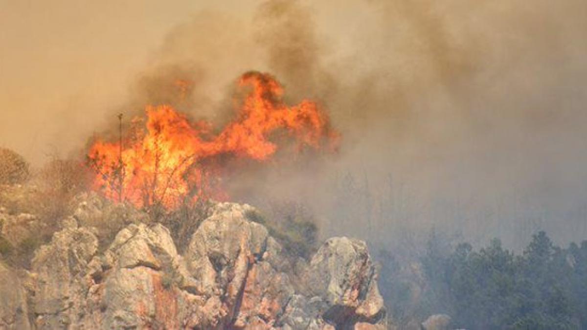 Incendiu de pădure devastator pe insula grecească Evia 