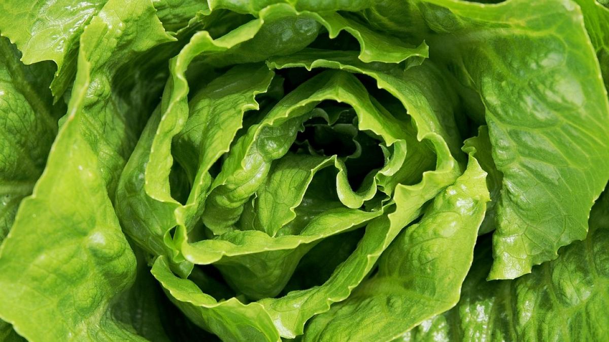 Un hoţ de salată a rănit 9 persoane cu un spray cu piper