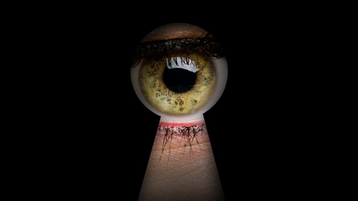 Cât a investit statul român în sistemele „big brother”
