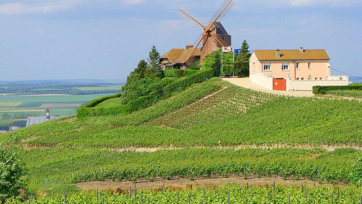 Producția de vin din Franța, afectată de intemperii