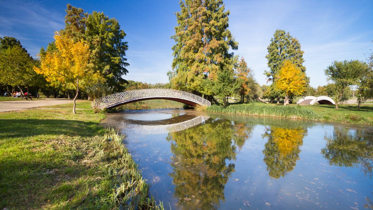Jandarmii au găsit o adolescentă inconştientă în Parcul Tineretului din Bucureşti 