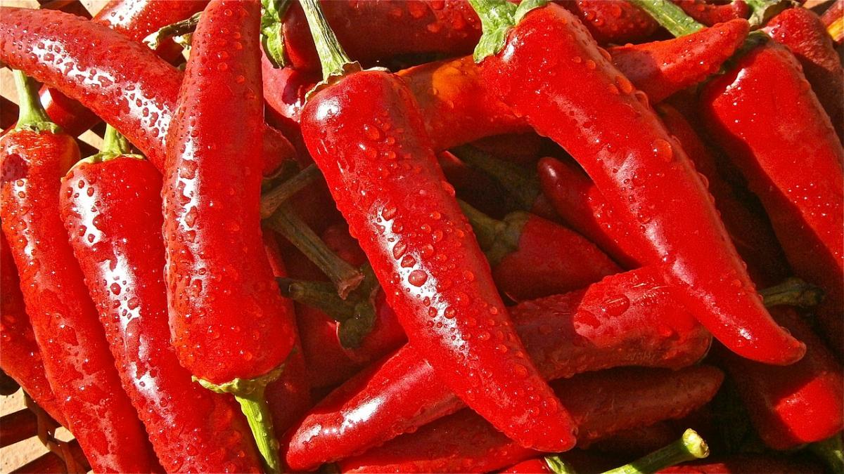  Boala cruntă de care te ferește ardeiul iute