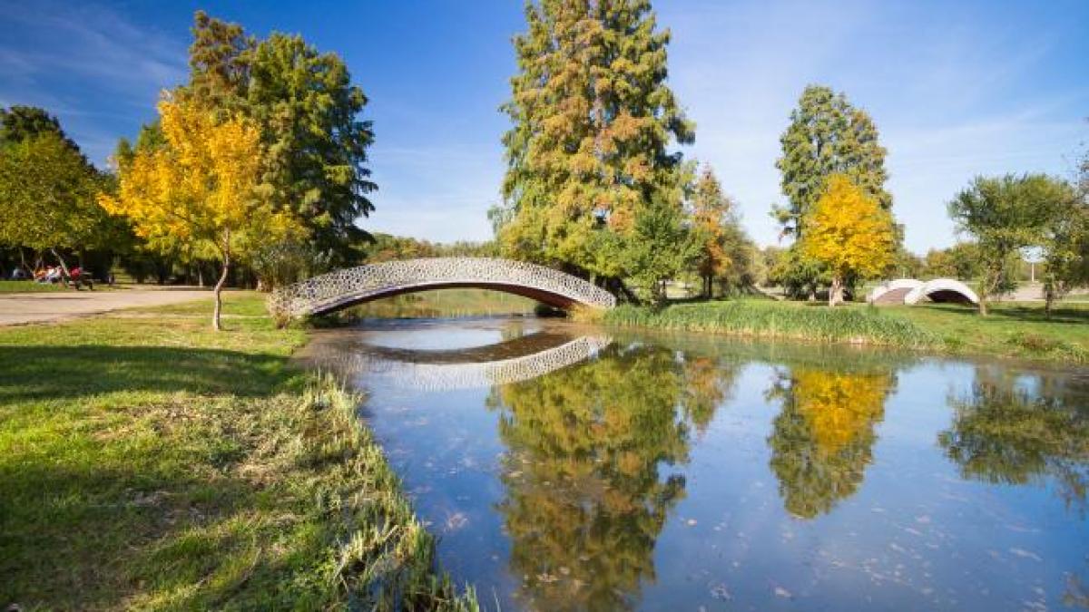 PMB a demarat un amplu program de curăţenie în parcurile Capitalei 