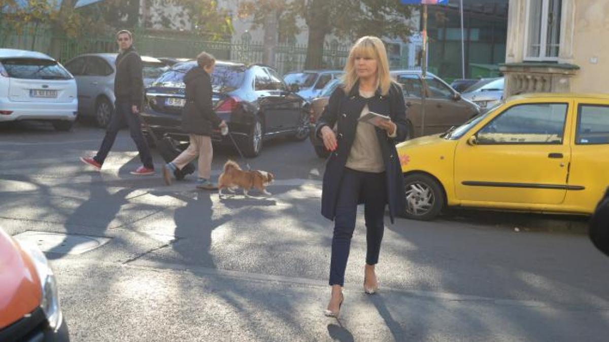 Udrea spune că o parte din banii proveniţi din contractul Microsoft au ajuns la partid şi la Blaga