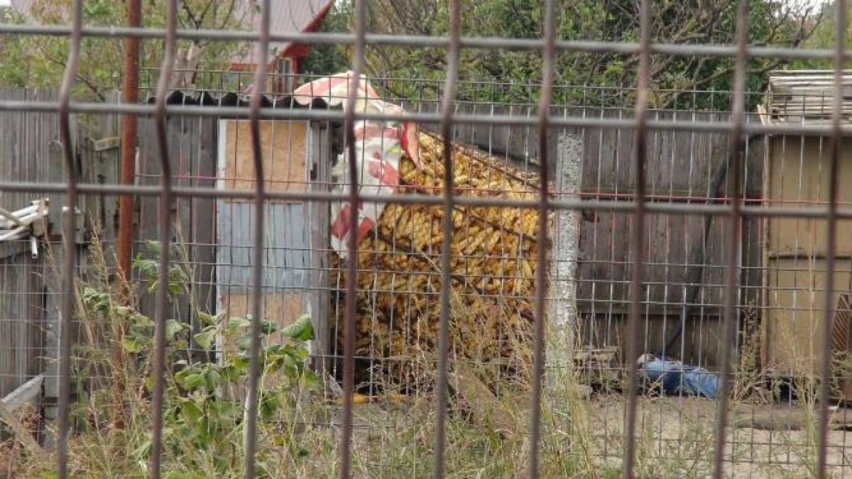 Brăila: Un bărbat a murit strivit de hambarul pe care a vrut să-l repare 