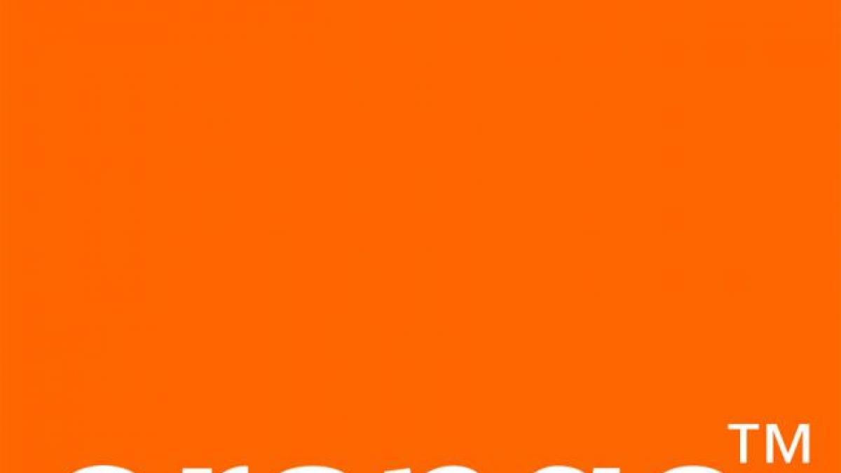 Orange a blocat din greşeală abonaţilor săi accesul la Google şi Wikipedia 