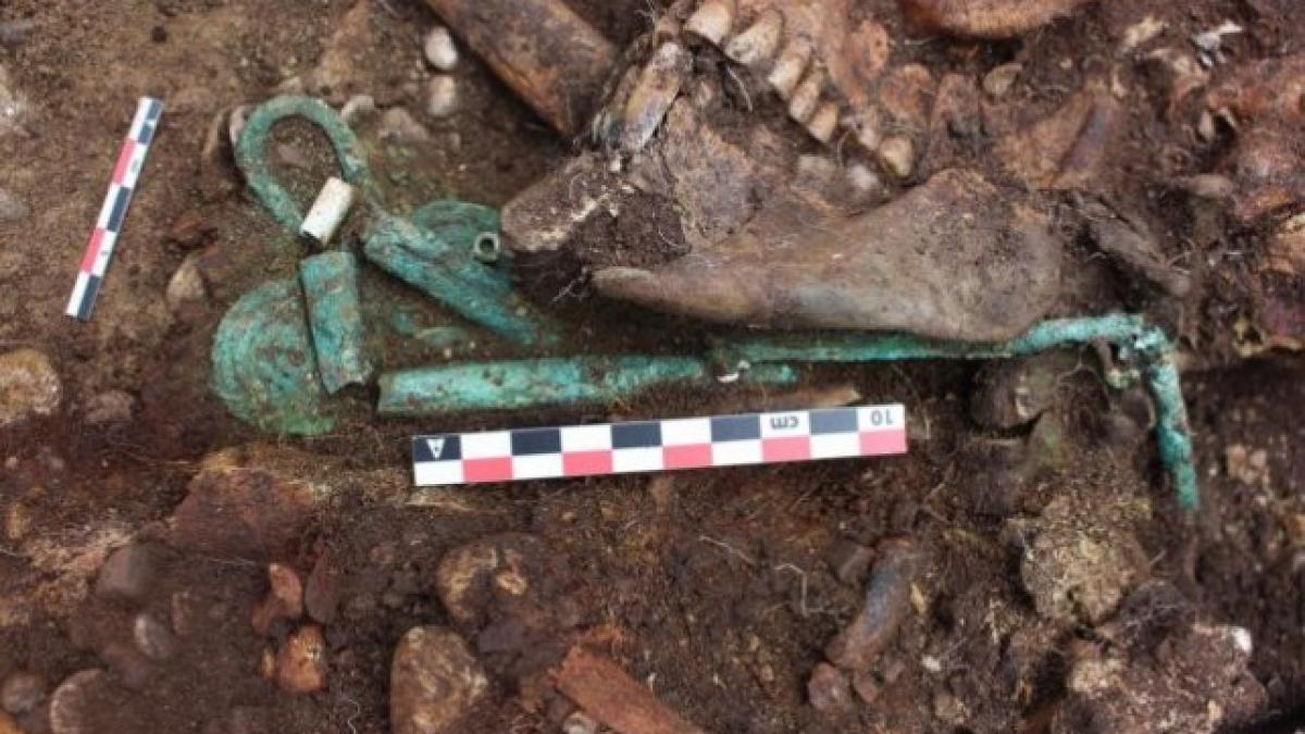 Prahova: Mormânt din Epoca Bronzului, vechi de peste 5.000 de ani, descoperit de arheologi la Ariceştii Rahtivani
