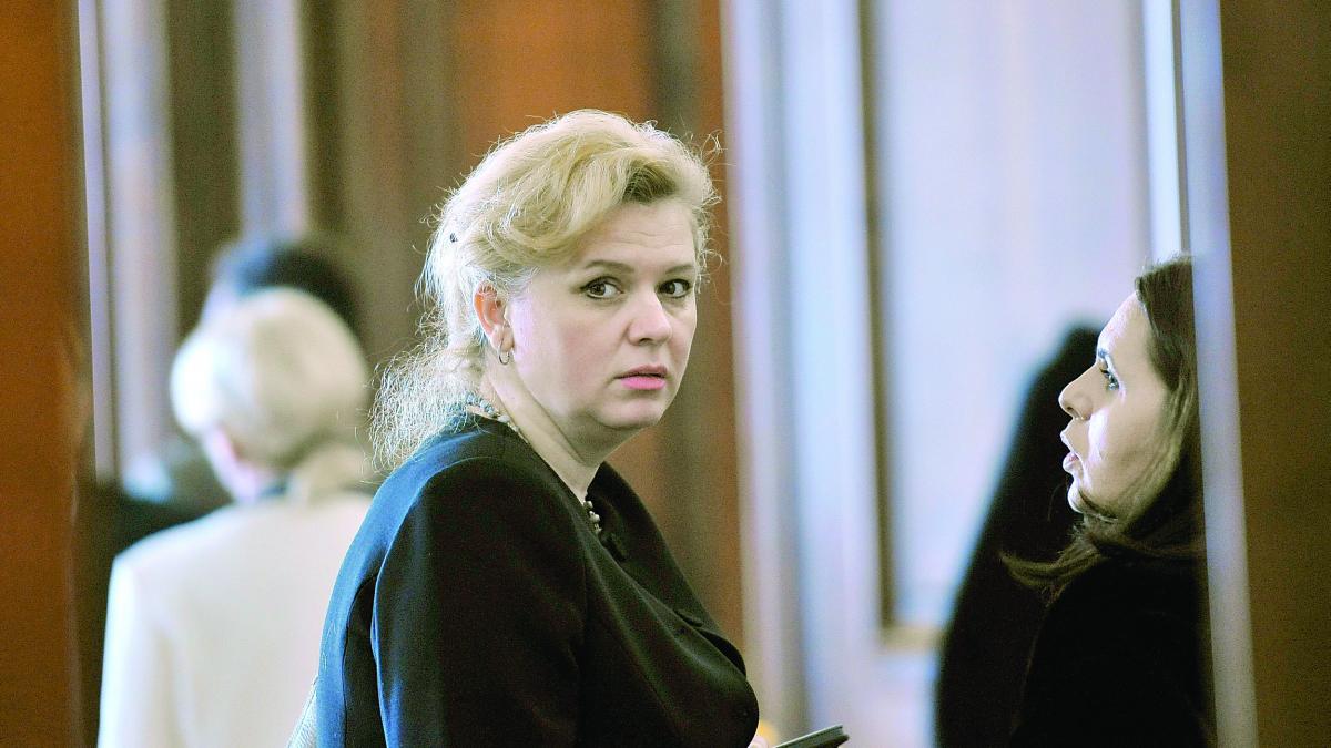 Oamenii Robertei Anastase vor număra voturile din decembrie